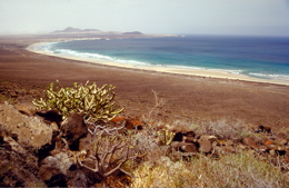 Ausflug zum Strand von Famara auf Lanzarote